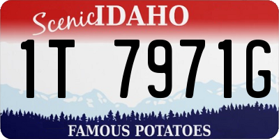 ID license plate 1T7971G