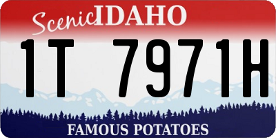 ID license plate 1T7971H
