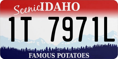 ID license plate 1T7971L