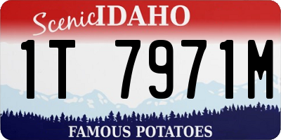 ID license plate 1T7971M