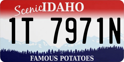 ID license plate 1T7971N