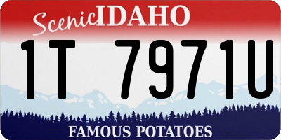 ID license plate 1T7971U