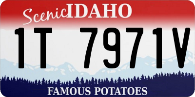 ID license plate 1T7971V