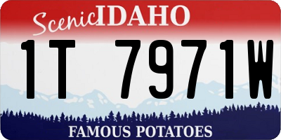 ID license plate 1T7971W