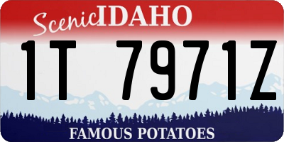 ID license plate 1T7971Z
