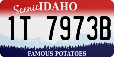 ID license plate 1T7973B