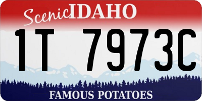 ID license plate 1T7973C