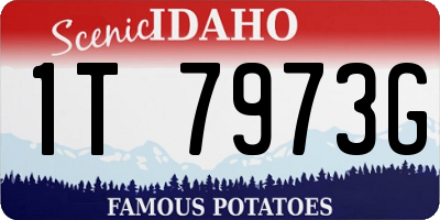 ID license plate 1T7973G