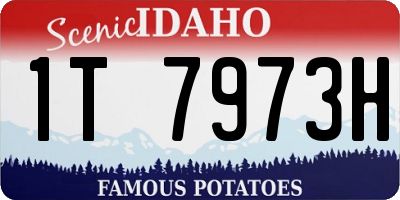 ID license plate 1T7973H