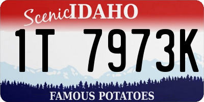 ID license plate 1T7973K