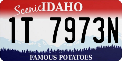 ID license plate 1T7973N