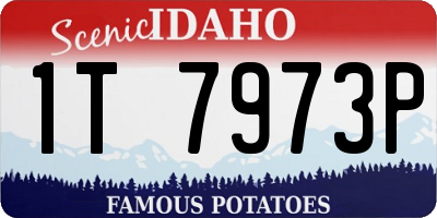 ID license plate 1T7973P
