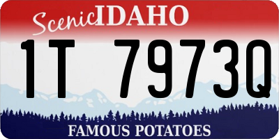 ID license plate 1T7973Q