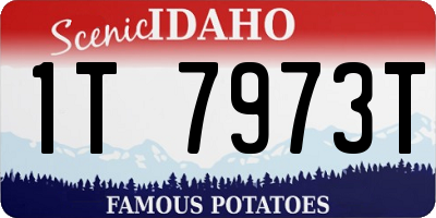 ID license plate 1T7973T