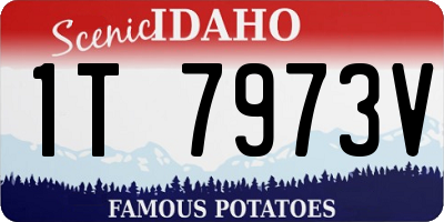 ID license plate 1T7973V