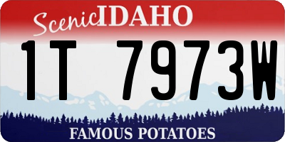 ID license plate 1T7973W