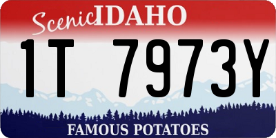 ID license plate 1T7973Y