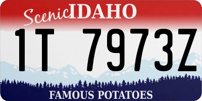 ID license plate 1T7973Z