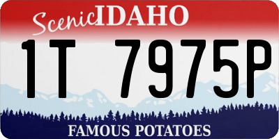 ID license plate 1T7975P