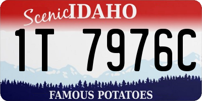 ID license plate 1T7976C