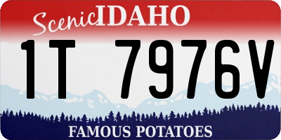 ID license plate 1T7976V