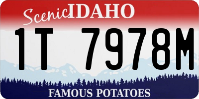 ID license plate 1T7978M