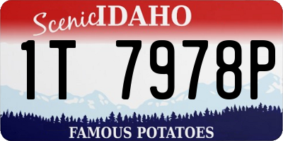 ID license plate 1T7978P