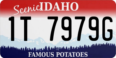 ID license plate 1T7979G