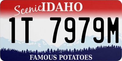 ID license plate 1T7979M