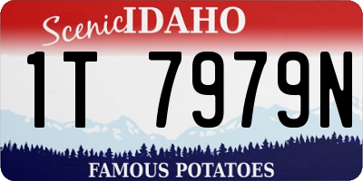 ID license plate 1T7979N