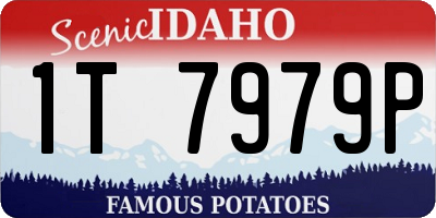 ID license plate 1T7979P
