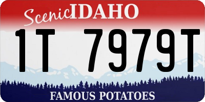 ID license plate 1T7979T