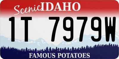 ID license plate 1T7979W