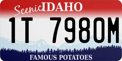 ID license plate 1T7980M