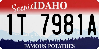 ID license plate 1T7981A
