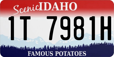 ID license plate 1T7981H