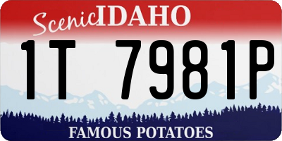 ID license plate 1T7981P