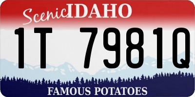 ID license plate 1T7981Q