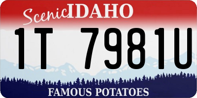 ID license plate 1T7981U