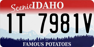 ID license plate 1T7981V