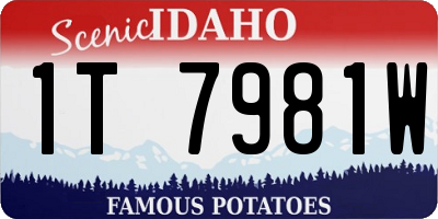 ID license plate 1T7981W