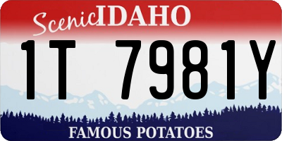 ID license plate 1T7981Y