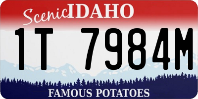 ID license plate 1T7984M