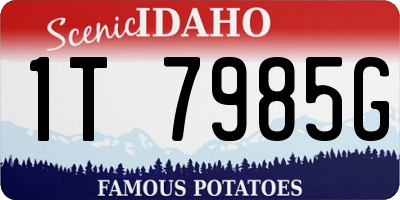 ID license plate 1T7985G