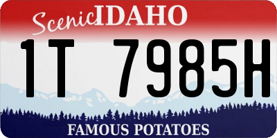 ID license plate 1T7985H
