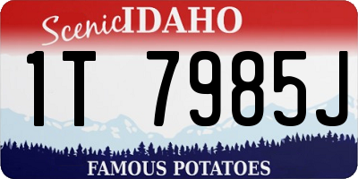 ID license plate 1T7985J