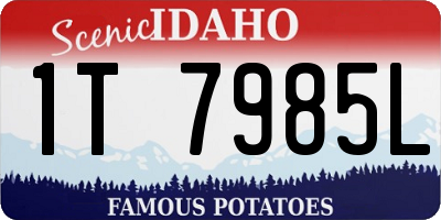 ID license plate 1T7985L