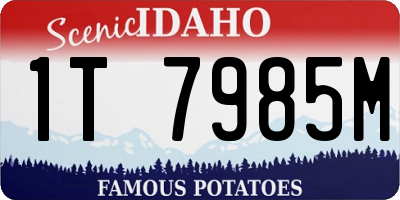 ID license plate 1T7985M