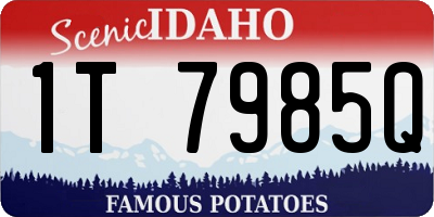 ID license plate 1T7985Q