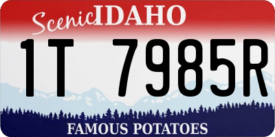 ID license plate 1T7985R